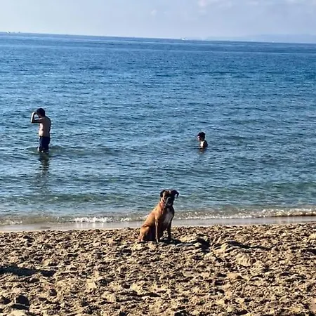 Descanso Del Guerrero San Miguel de Fluviá