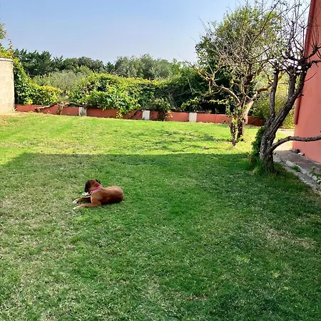 Descanso Del Guerrero * San Miguel de Fluviá
